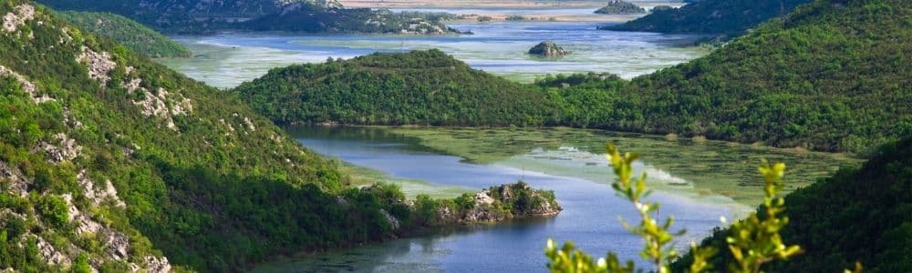 Skadar Lake